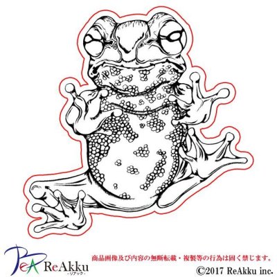 画像1: 蛙-原良輔