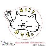 ote-kis