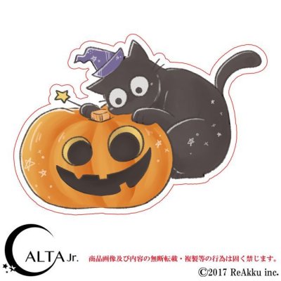 画像1: ハロウィン-黒猫とJacko'Lantern-もこ