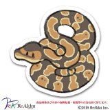 ボールパイソン2-みぞぐちともや