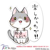 反省しない猫3-舞夢