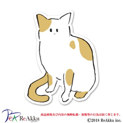 画像1: ふつうねこ-みぞぐちともや