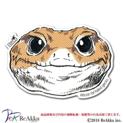 画像1: ニシアフリカトカゲモドキ-Dsuke