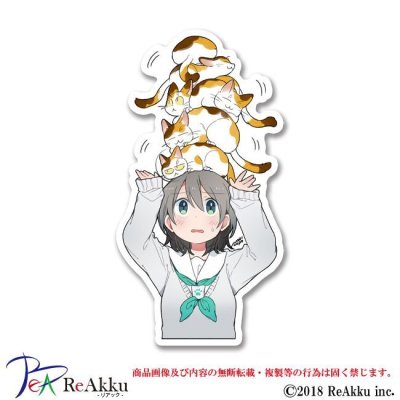 画像1: 三毛猫タワー(1)-NORICOPO