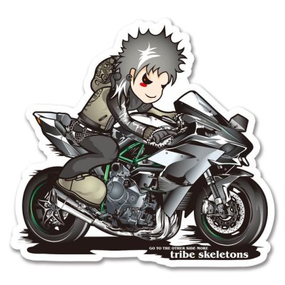 画像1: Ninja H2R KILLNG-SICK