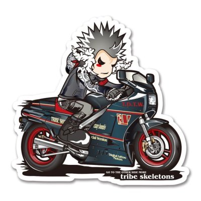 画像1: RG250--Walter-wolf_reject-SICK