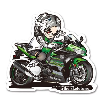 画像1: Ninja 400_dita-SICK