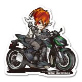 z1000_dita-SICK