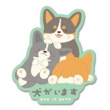 犬がいます（CORGI）-fumika