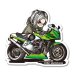 画像1: GPZ900R_dita-SICK (1)