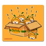 チビハムミカン-NORICOPO