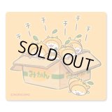 チビハムミカン-NORICOPO