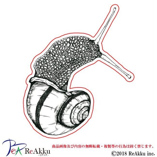 画像1: 上向き蝸牛-原良輔 (1)