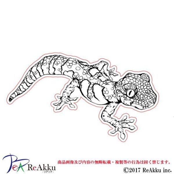 画像1: トカゲ-原良輔 (1)