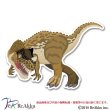 画像1: ケラトサウルス-keeta (1)